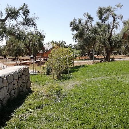 Agriturismo Marconi Porto Cesareo Bagian luar foto